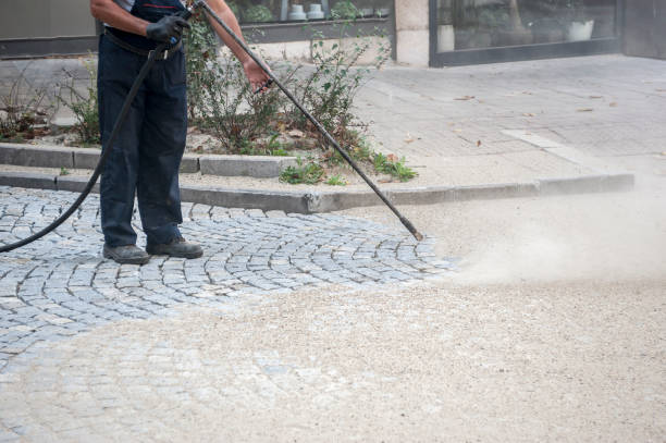 Best Warehouse Cleaning  in Waverly, VA